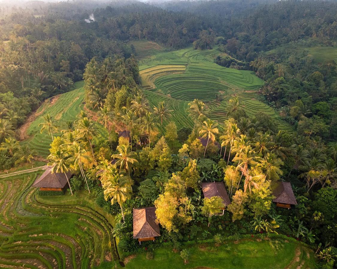 Clove Tree Hill Blimbing (Bali) Exterior foto