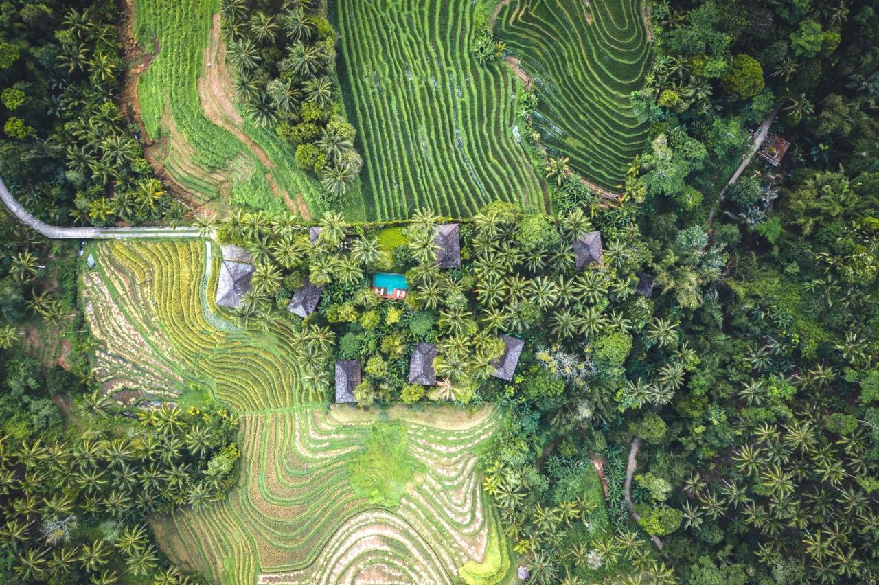 Clove Tree Hill Blimbing (Bali) Exterior foto