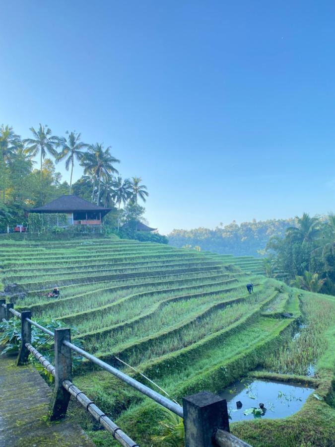 Clove Tree Hill Blimbing (Bali) Exterior foto