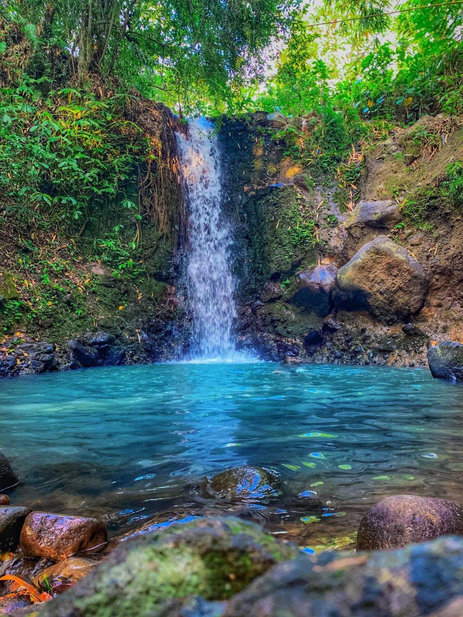 Clove Tree Hill Blimbing (Bali) Exterior foto