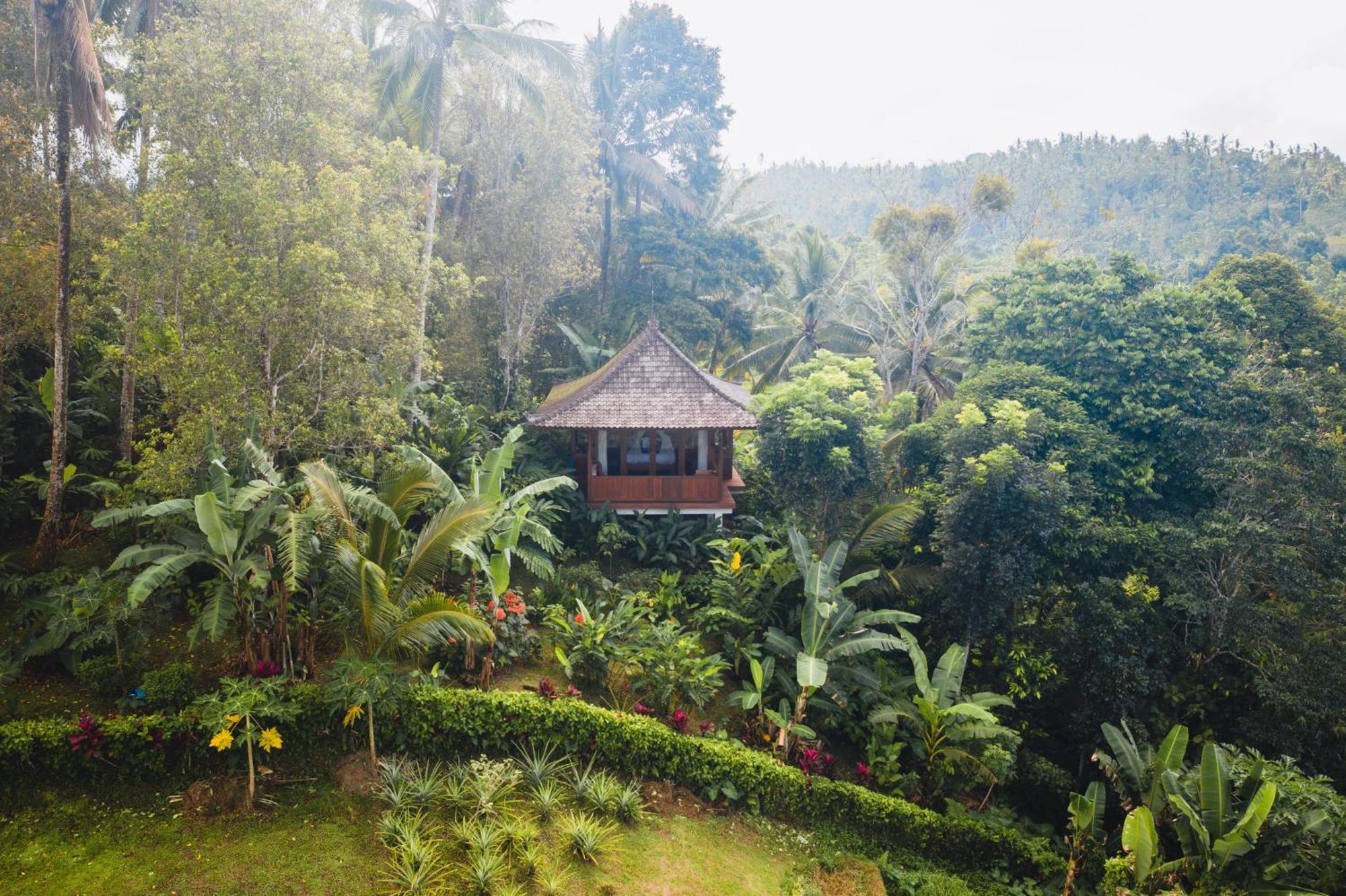 Clove Tree Hill Blimbing (Bali) Quarto foto