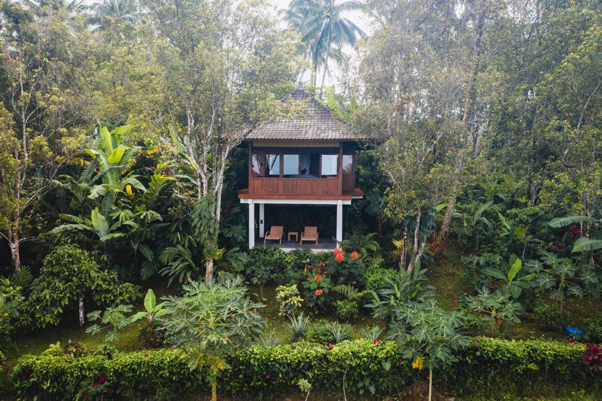 Clove Tree Hill Blimbing (Bali) Quarto foto