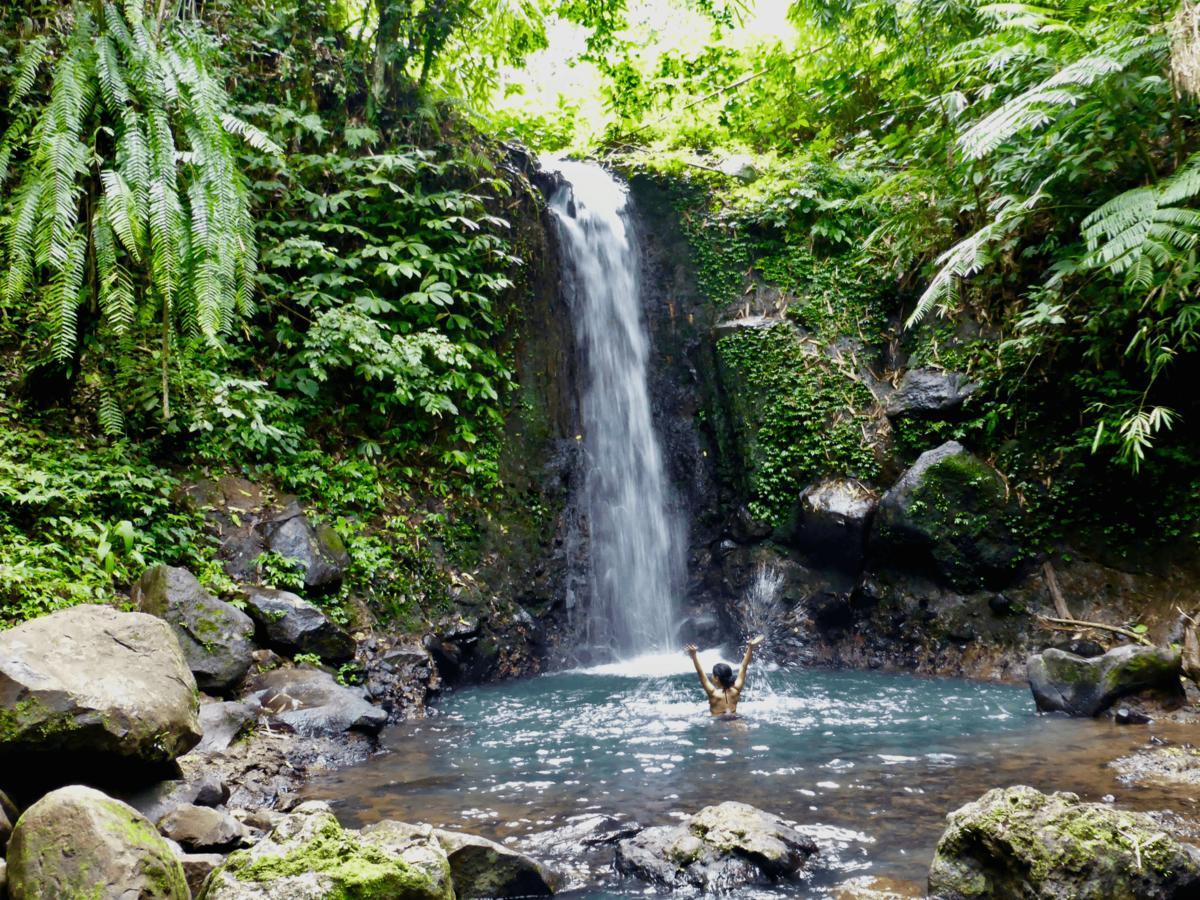 Clove Tree Hill Blimbing (Bali) Exterior foto